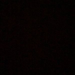 Meet your Posher, Peter